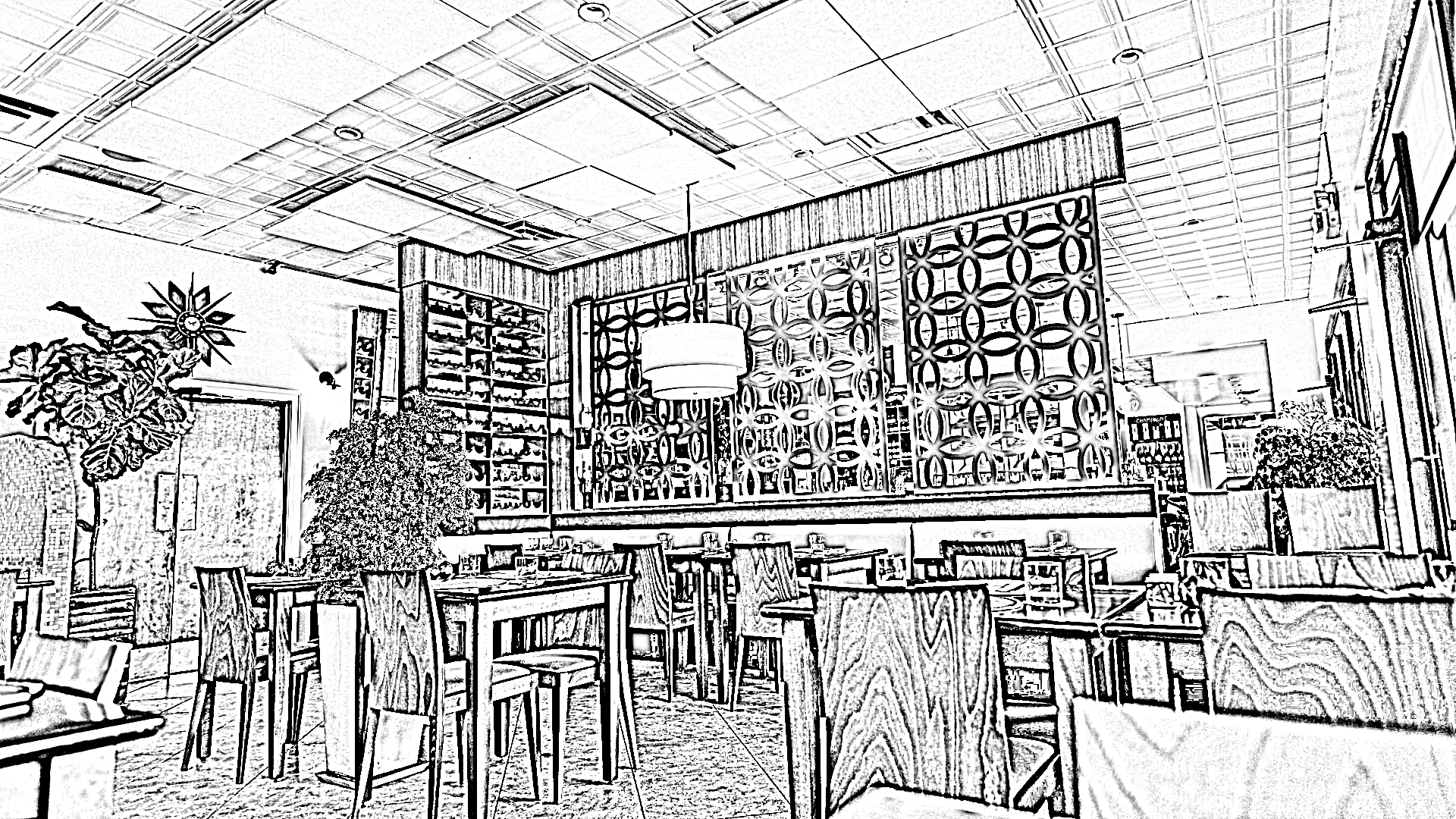 Icoa Hero ICOA Cafe Cayman Islands